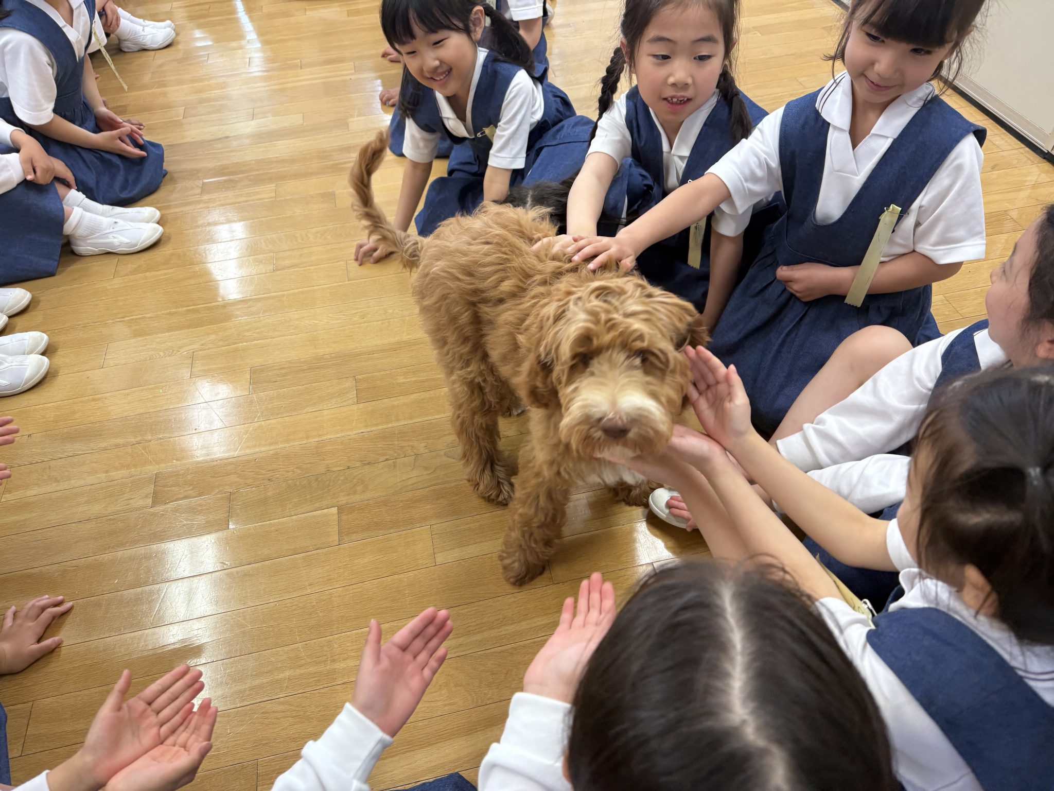 告知】news23にて放映予定 | 小学部長ブログ | 東洋英和女学院小学部