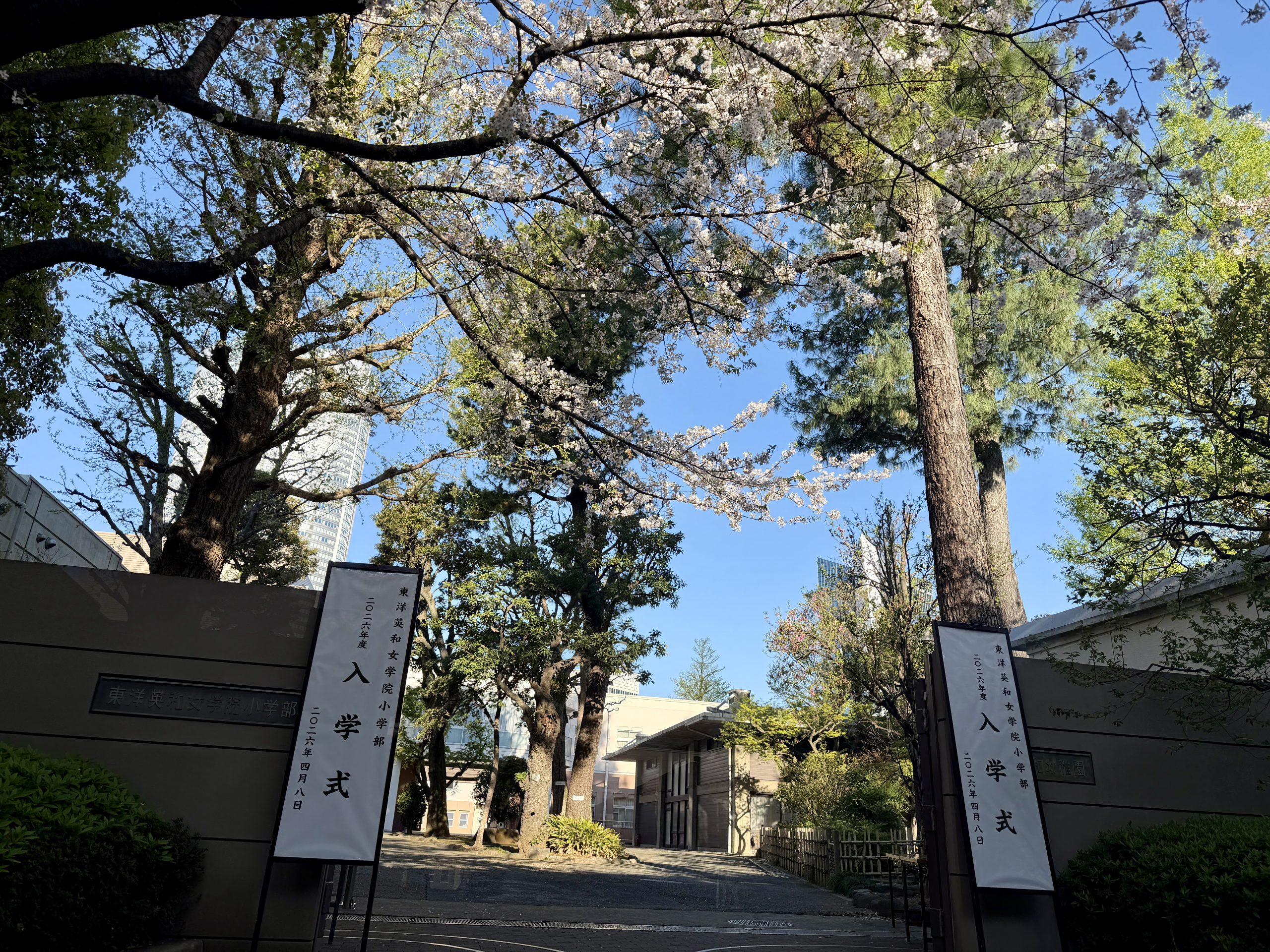 東洋英和女学院小学部 2026年度 入学式 | 小学部長ブログ | 東洋英和女学院小学部